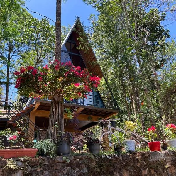 ๋นํฐ๋ฆฌ์ ์์นํ ํธํ
Wild root stay- Orchid Chalet