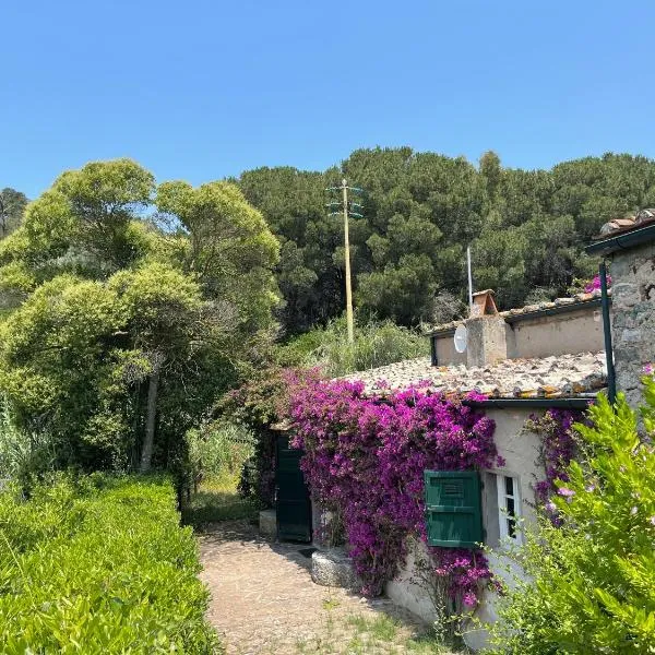 The Old Mill with Private Garden and Torrent, hotel in Portoferraio