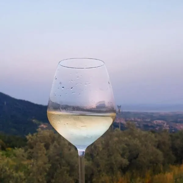 Vinomare Guesthouse, khách sạn ở Fosdinovo