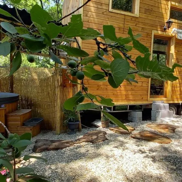 Mini maison tiny house et son bain nordique, hotel in Prendeignes