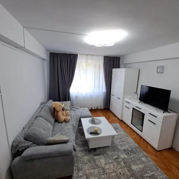 Apartament 2 camere, hotel en Ciumârna