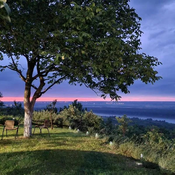 Casa Horizont, hotel in Slankamenački Vinogradi