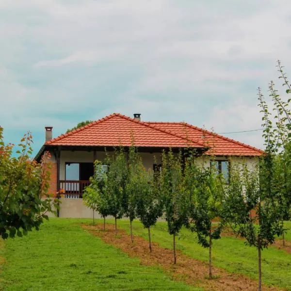 Villa Sladjana, hotel em Mladenovac