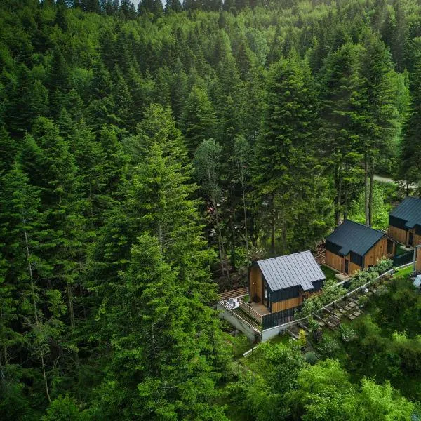 Norway Cabins - Private Terrace & Fire Pit, hotel en Sinaia