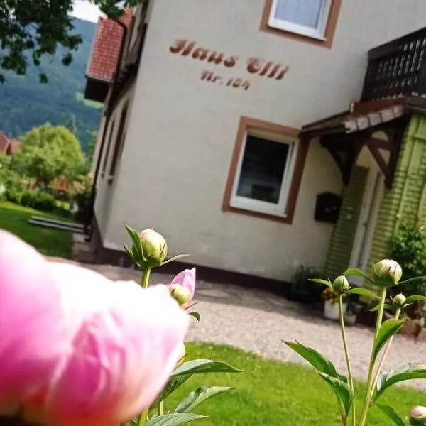 Haus Elli, hotell i Greifenburg