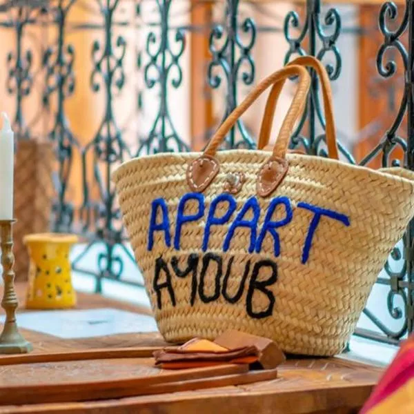 Appart Ayoub, hotel in Essaouira