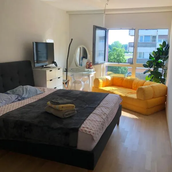 One bedroom 3pieces entire Modern Appartment close to Airport, CERN, Palexpo, public transport to the center of Geneva, hotell i Meyrin