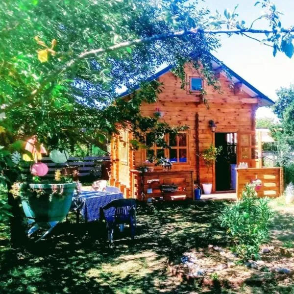 Agréable chalet en bois et son extérieur, hotel in Massay