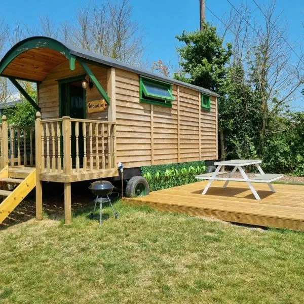 Woodie the shepherds hut - sleeps 4, hotel v destinaci Chichester