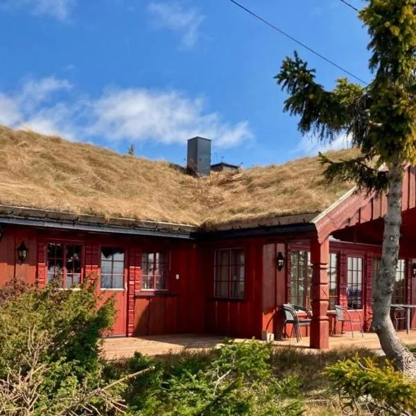 Large cabin with Sjusjøens best view, sauna and ski in out, khách sạn ở Ringsaker