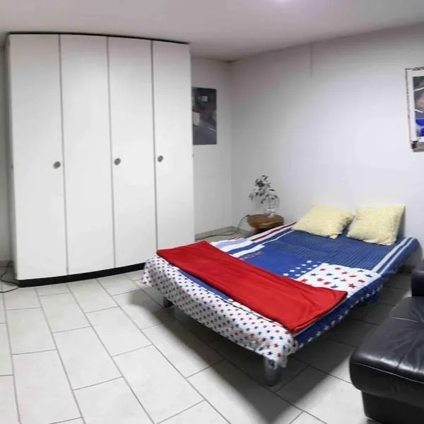 Basel - 5 mins away - Modern Basement Studio with Kitchen 35m2 in Muttenz, khách sạn ở Muttenz