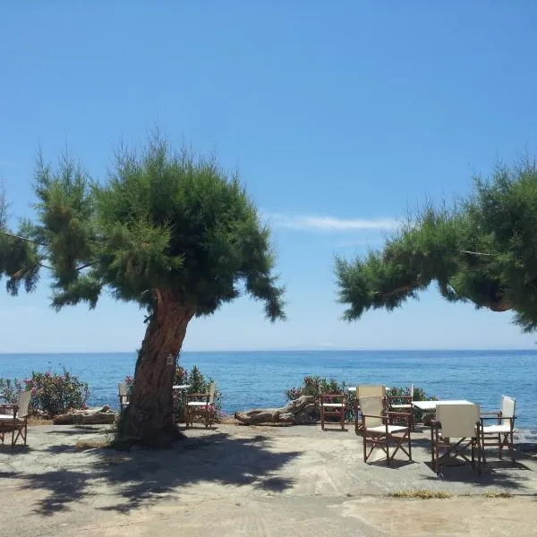 Georgoshouse Lykos beach Sfakia, hotel en Kaloí Lákkoi