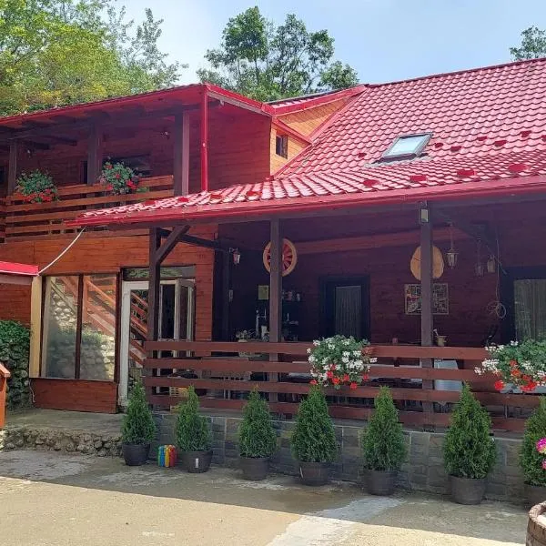 Cabana Alpha, hotel v destinaci Baia Mare