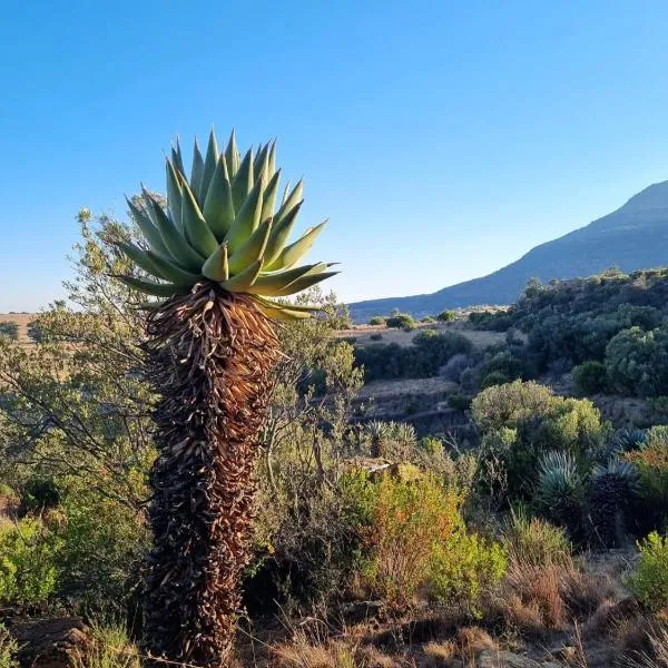 Saffier river cottage Farmstay, ξενοδοχείο σε Lady Grey