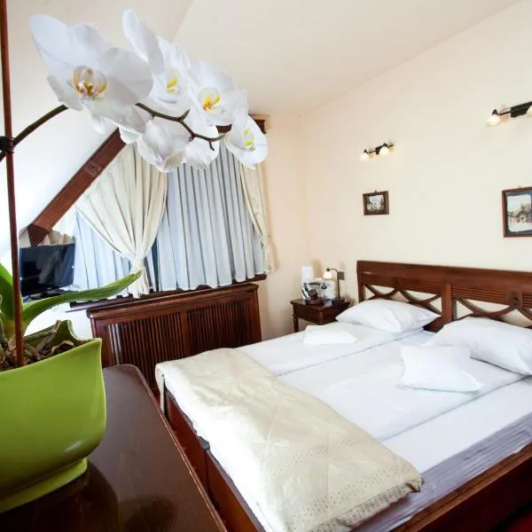 Pension Brasovu Vechi, hotel en Brasov