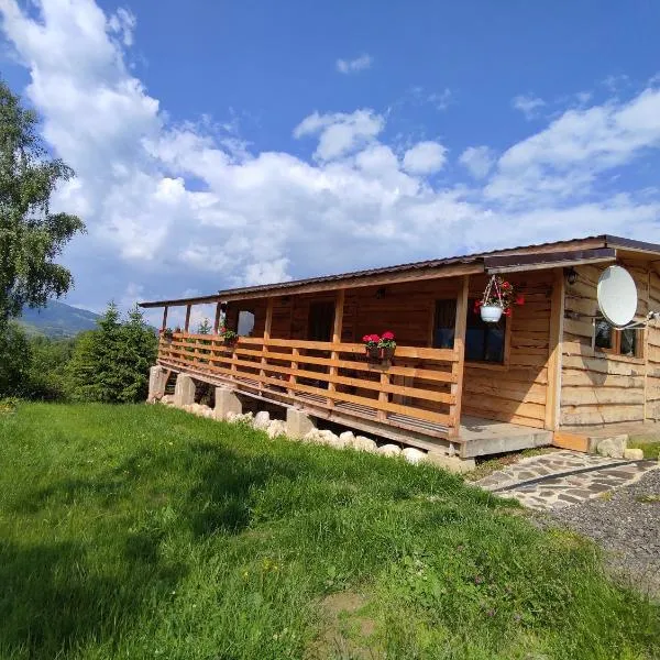 Cabana doi mesteceni, hotel in Drumu Carului