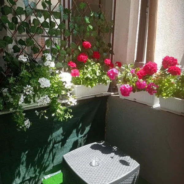 Studio apartman Sokak – hotel w mieście Bihać