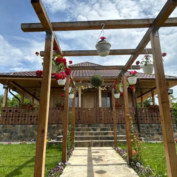 Casa Eden Fit, hotel v destinaci Făget