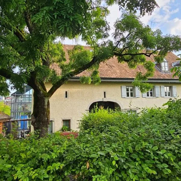 Blue Wall BnB, hotel in Gebenstorf