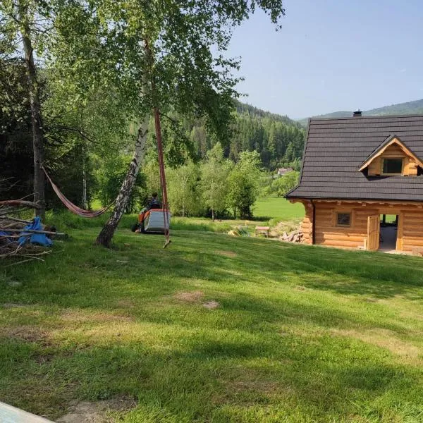 Domek u Sołtyska, hotel in Rajcza