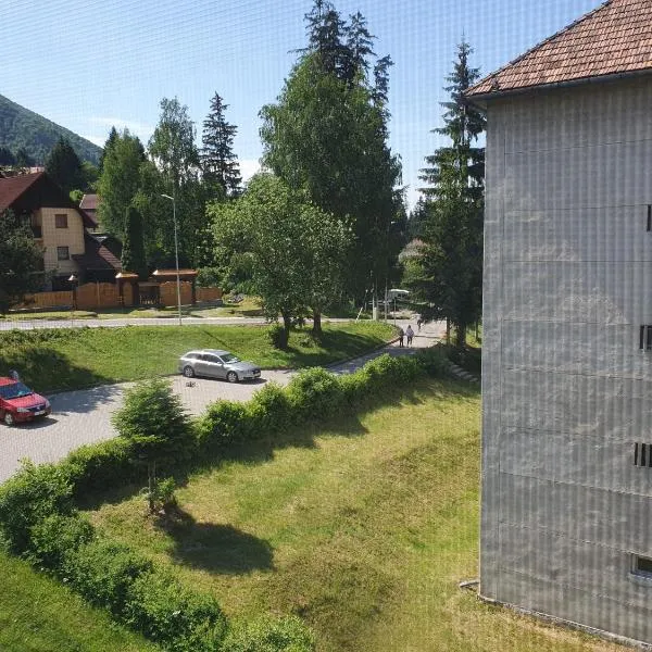 Apartamente La 2-3 Ursuleti, hotel v destinaci Băile Tuşnad