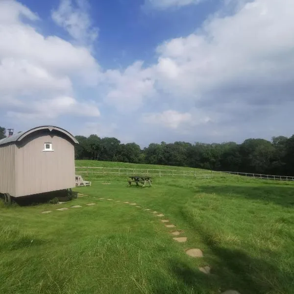 Molly Dishwasher Shepherds Hut, hotell sihtkohas Frant