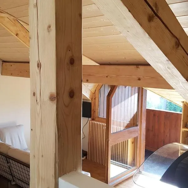 Appartement Les Dents Blanches - Samöens Centre, hotel in Samoëns