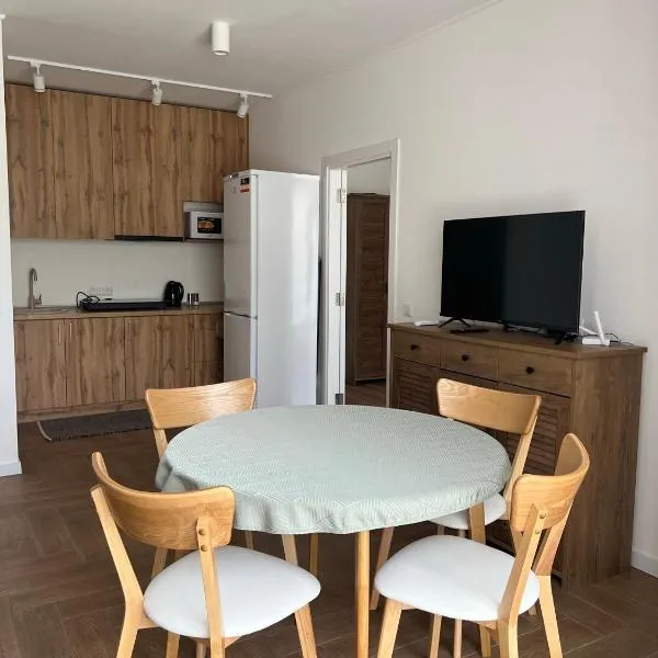 Modern apartament, hotel in Mukacheve