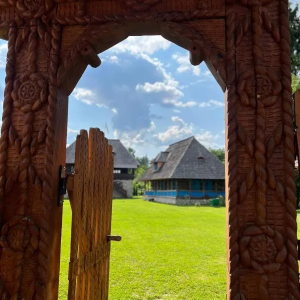 오크나 슈가타그에 위치한 호텔 La patru daci