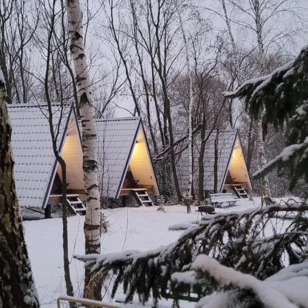 Vigio Brasta camping, hotel v destinaci Elektrėnai