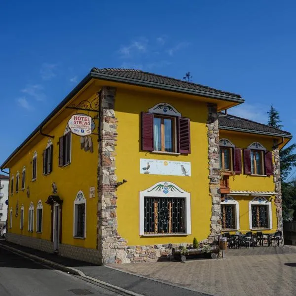 Hotel Stelvio, hotel in Varese