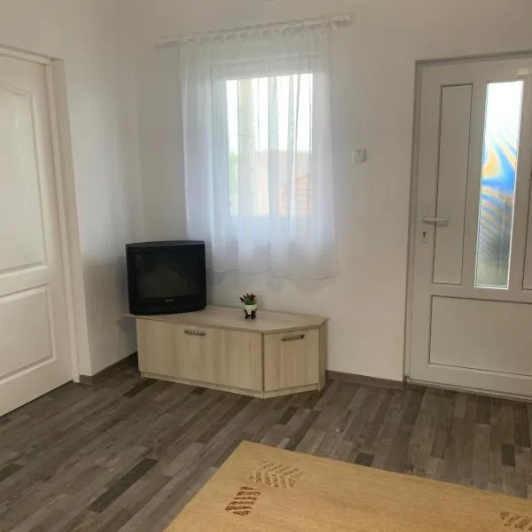 Apartament de inchiriat în localitatea Dănești, hotel v destinaci Dăneşti