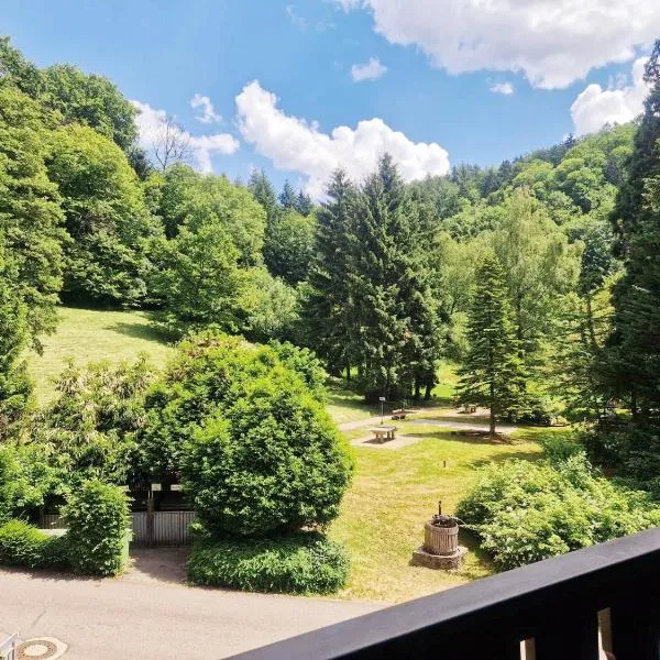 Wasserfälle Apartments, hotel in Sasbachwalden