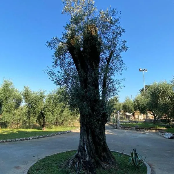 Casa Vacanze La Selva, hotel a Sonnino