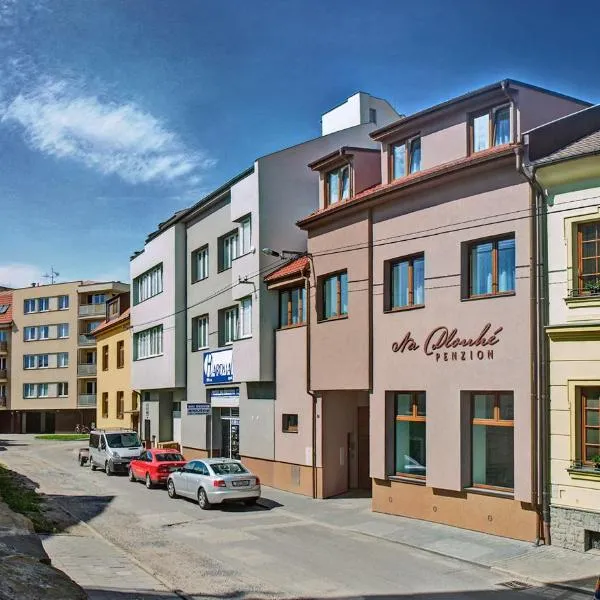 Penzion Na Dlouhé, hotel v destinaci Uherské Hradiště