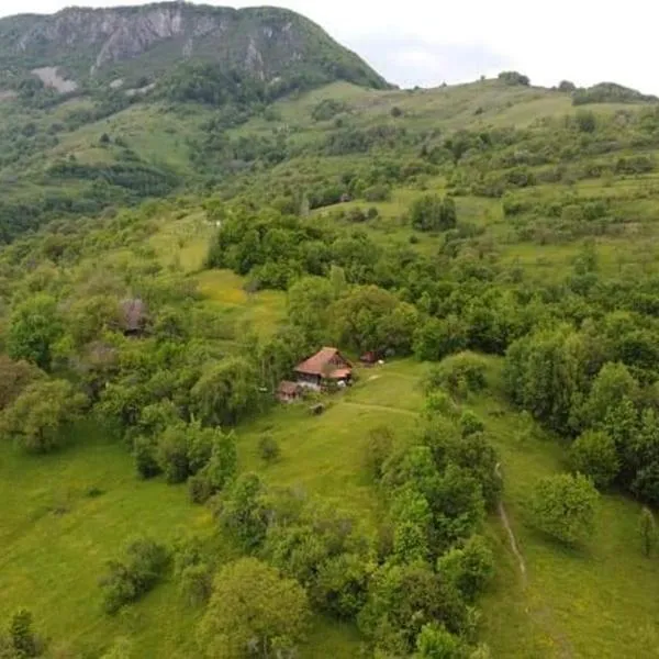 Almost Heaven - cabană cu vedere în Apuseni, hotel v destinaci Cimpeni
