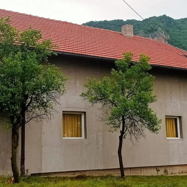 Family House بيت عائلي بجميع مواصفات الراحة, hotel en Višnjevo