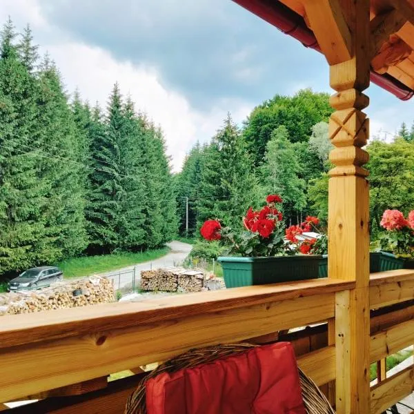 Poiana Sașilor - Valea Doftanei, מלון בTrăisteni