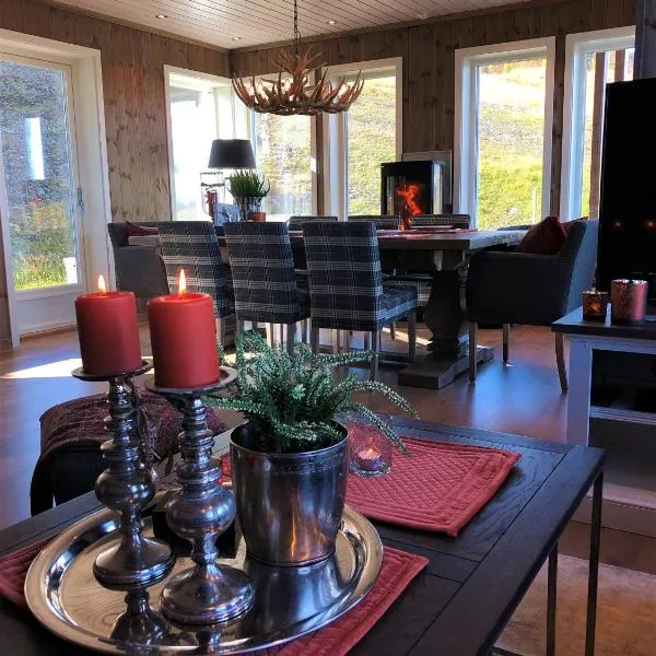 Bualie Golsfjellet Ski-in Ski-out High Standard Biking Fishing and Hiking, hotel din Gol