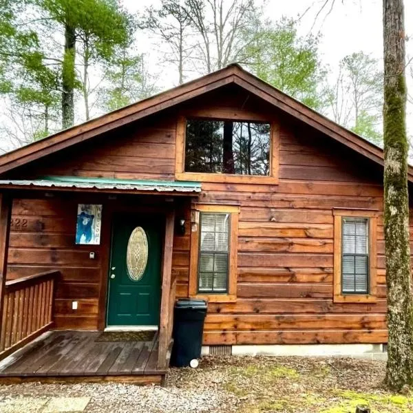 Crazy Bear - Motorcycle Friendly Home with Hot Tub and Grill, hotel em Tellico Plains