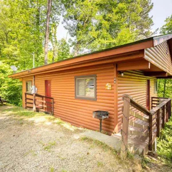 Lazy Bear Cabin near Nantahala Outdoor Center and Bryson City, отель в городе Almond