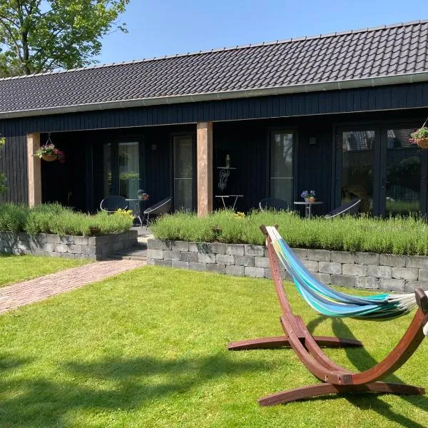 De Burcht-Drenthe, hotel in Bunne