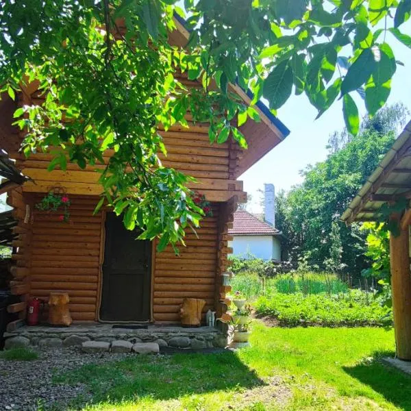 Cabana Colt de Rai, hotel en Bîrsana