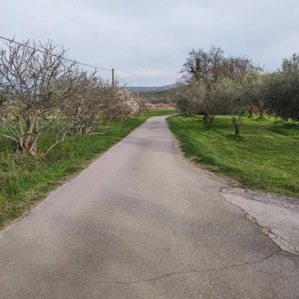 Na Zeleni cesti / On the green road, Hotel in Dekani