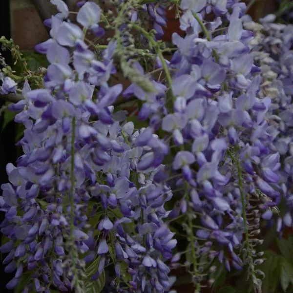 5 Charlton Mill Way B&B, hotel v destinaci Chichester