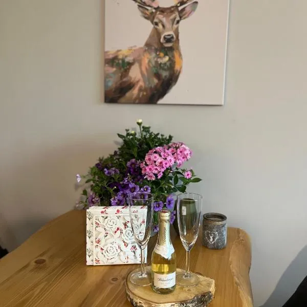 Wolfgangsee Ferienappartement „Almliebe“, hótel í Strobl