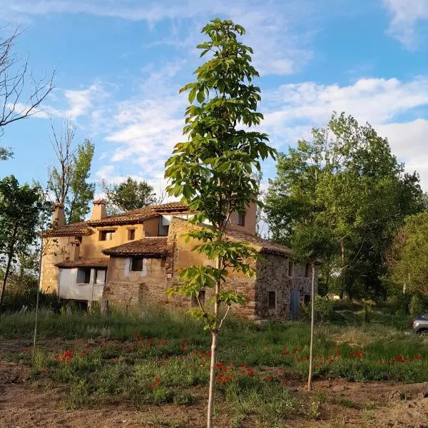 Molino Del Río, hotel di Camañas