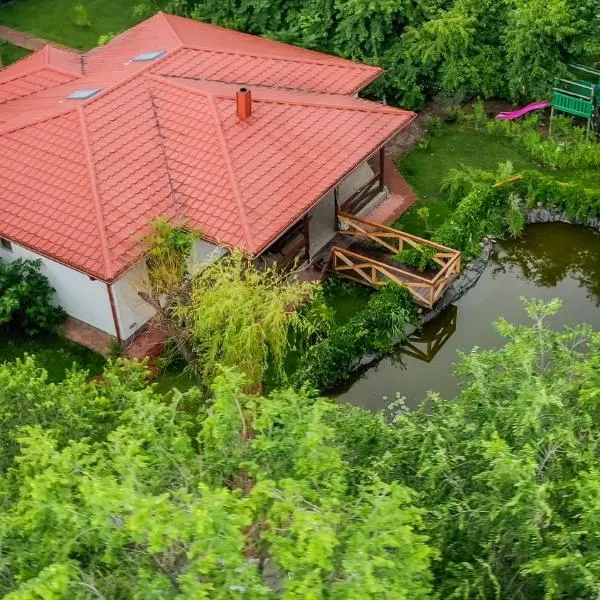 Casa Arcadia 1 piscina,jacuzzi, sauna, Hotel in Buzău