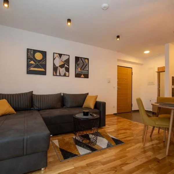 Petković apartmani 34, hotel in Jagodina