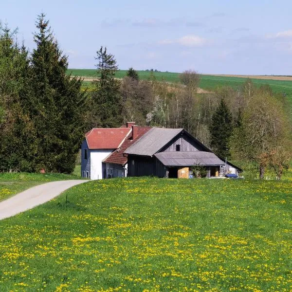 Landhaus auf der Alm, hotel in Traunstein